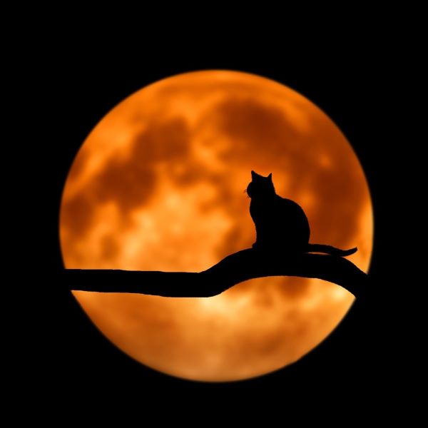 Beautiful Crystal Ball in the Sunset