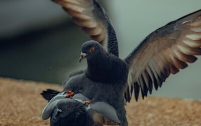 How to know if you are dealing with a Narcissist