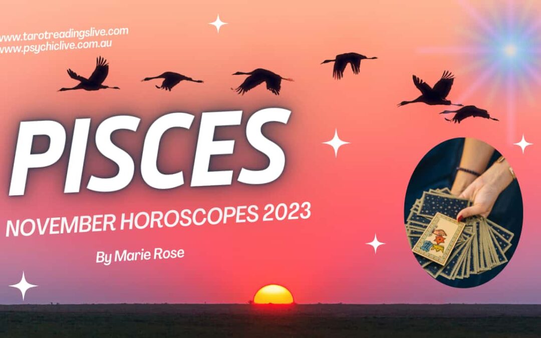 Pisces Horoscope | Powerful Tarot For November Week 1