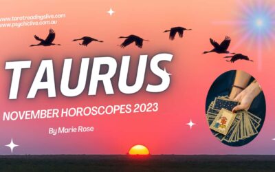 Taurus Horoscope |Powerful Tarot November Week 1