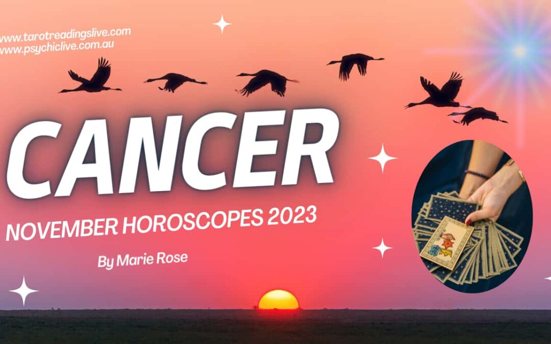 Cancer Horoscope |Powerful Tarot November Week 1