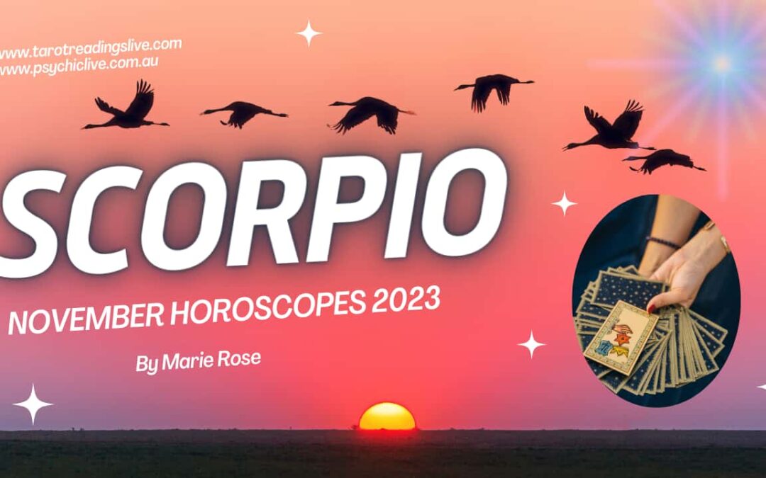 Scorpio Horoscope | Powerful Tarot November Week 1