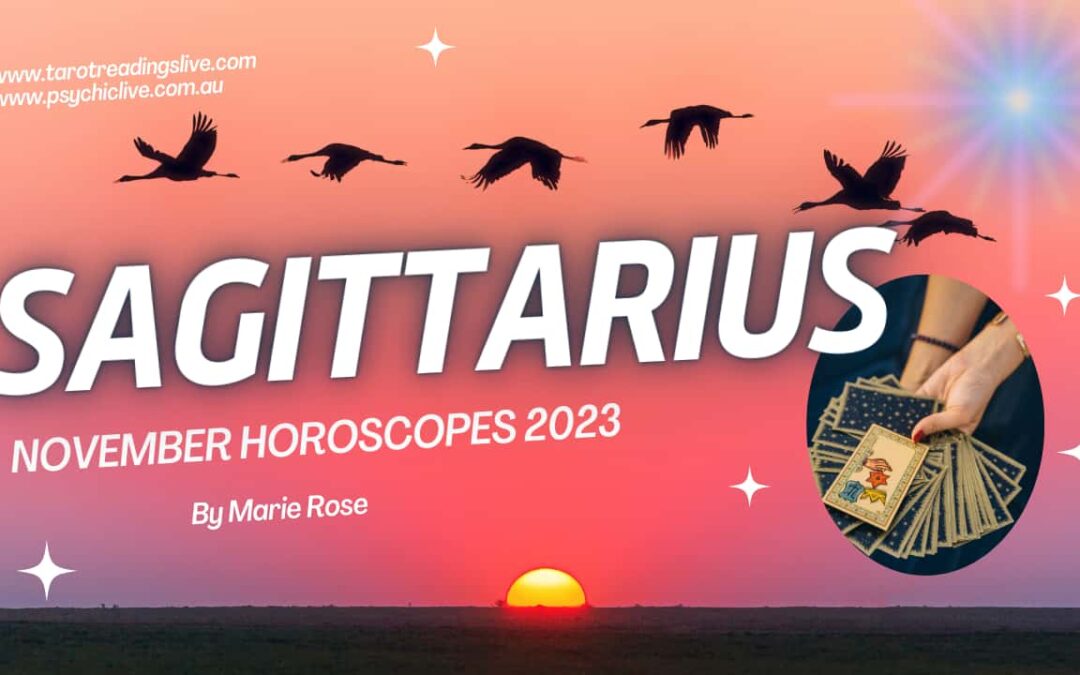 Sagittarius Horoscope |Powerful Tarot November Week 1