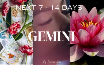 Gemini Horoscope |Powerful Psychic Forecast AUGUST W4