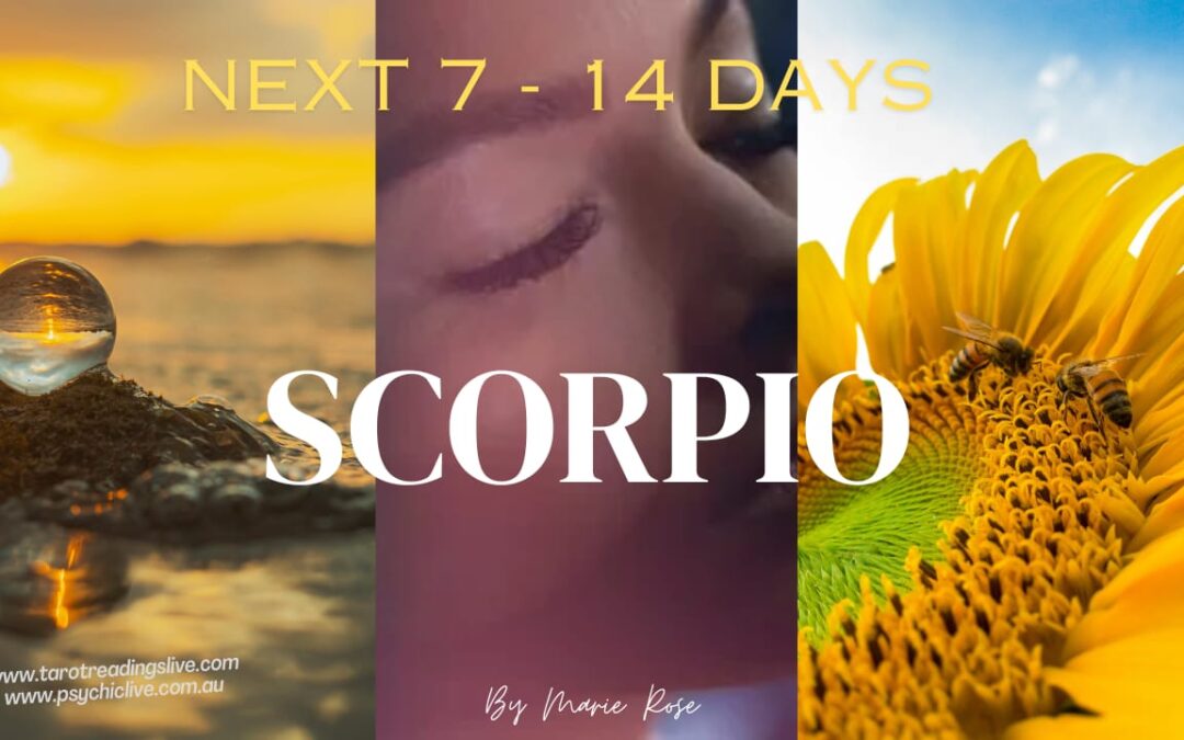 Scorpio Horoscope |Powerful Psychic Forecast AUGUST