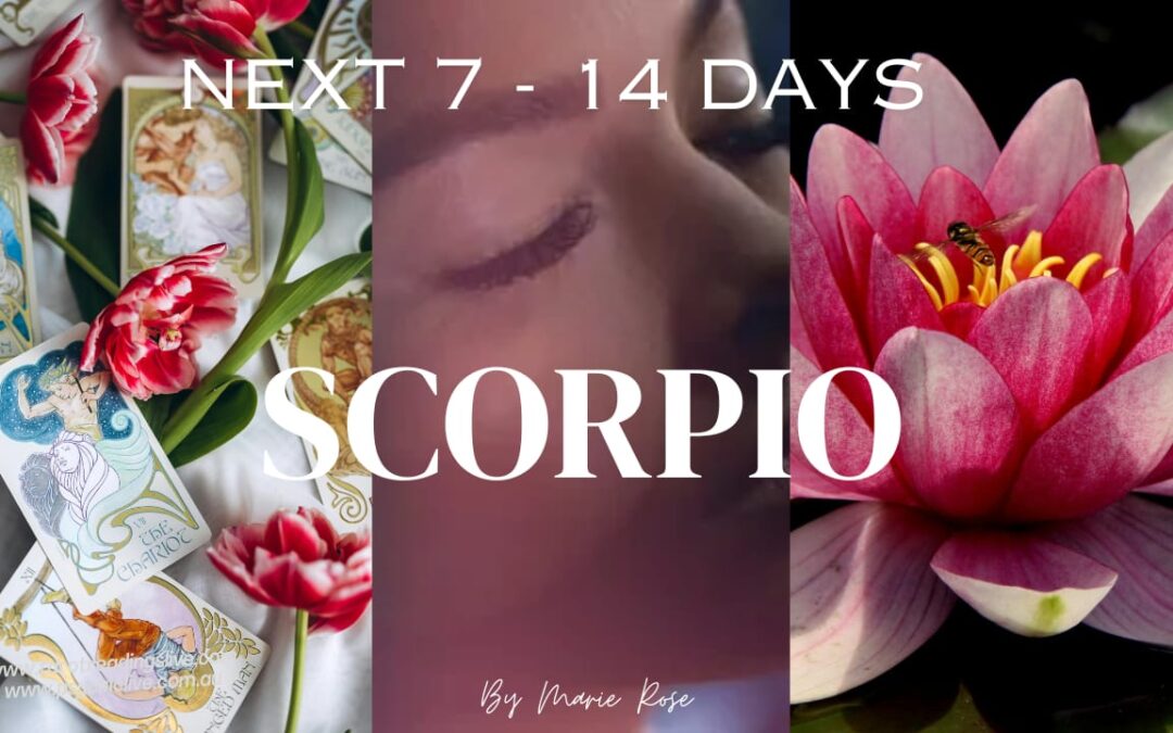 Scorpio Horoscope |Powerful Psychic Forecast AUGUST W4