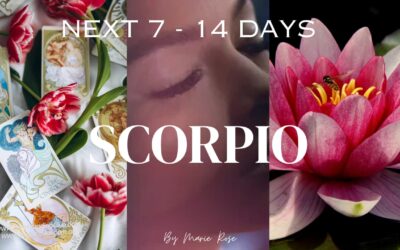 Scorpio Horoscope |Powerful Psychic Forecast AUGUST W4