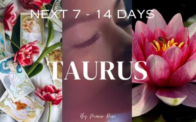 Taurus Horoscope |Powerful Psychic Forecast AUGUST W4
