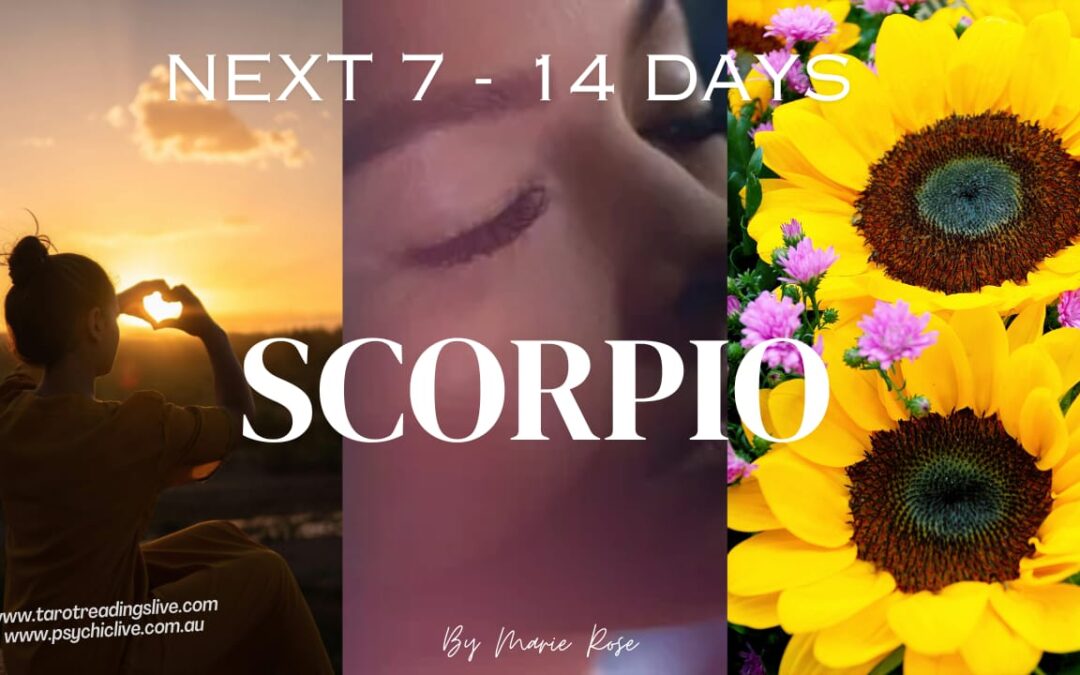 Scorpio Horoscope |Powerful Psychic Forecast AUGUST W5
